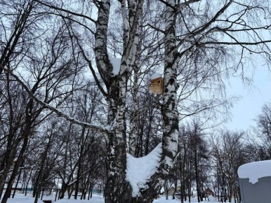 По информации ЕДДС и данным Мордовского центра по гидрометеорологии и мониторингу окружающей среды: