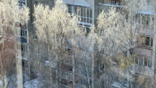 �� ���������� ���� � ������ ����������� ������ �� ����������������� � ����������� ���������� �����: