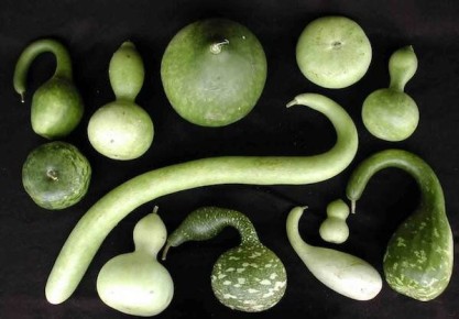 ���������: �� ����� �������� � ������ �������