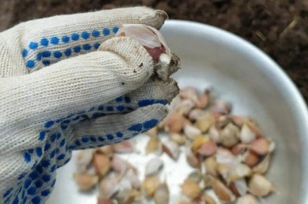 ��� �������� ������ ����� �������� ��� �������� ������