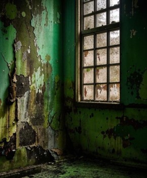 Советы по борьбе с плесенью в углах вашего дома