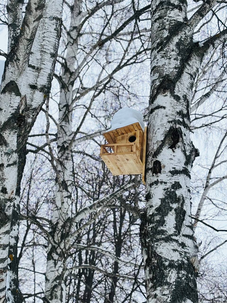 По информации ЕДДС и данным Мордовского центра по гидрометеорологии и мониторингу окружающей среды: По информации ЕДДС и данным Мордовского центра по гидрометеорологии и мониторингу окружающей среды: