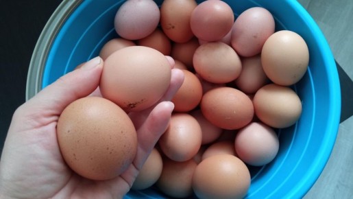 Почему деревенские жители предпочитают магазинное мясо фермерским продуктам