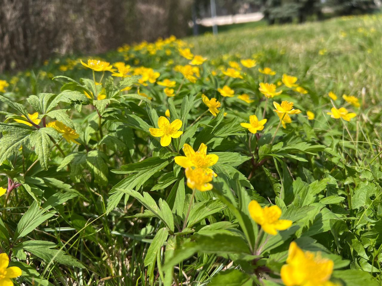 А в конце недели весна. С 24 февраля синоптики прогнозируют в Мордовии существенное потепление А в конце недели весна. С 24 февраля синоптики прогнозируют в Мордовии существенное потепление