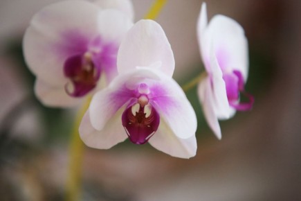 �� ����� ��� ������ ���. ��������!