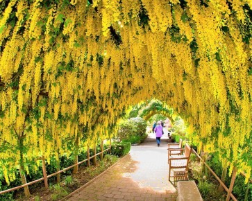 ������� �����: �������������� �������, ���������� ������ ��������� ��������