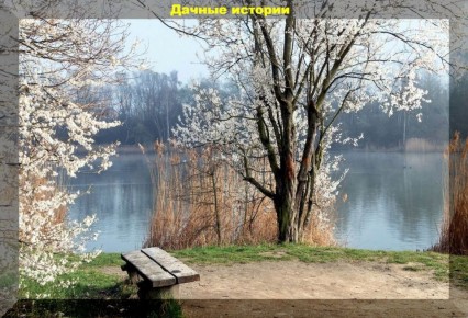 Март: Назад к природе - всё о весеннем уходе за садом и посевах