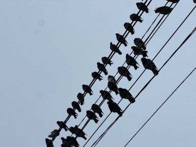 ����� �� �������� - ������ ���� �� ������ �����