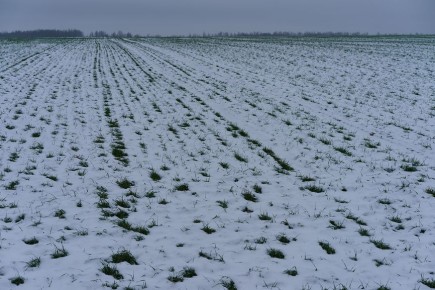 ��� �������� ���� � �������: ������ ����� ��� ��������� ������