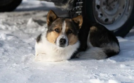 В начале новой рабочей недели из-за влияния теплых воздушных масс в Мордовии прогнозируется по-весеннему теплая погода