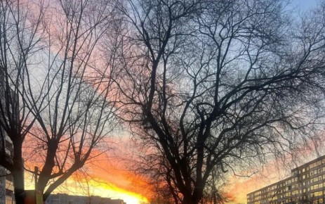 ��������� ����������, ����� �������� ������ ���� ����� � ��������