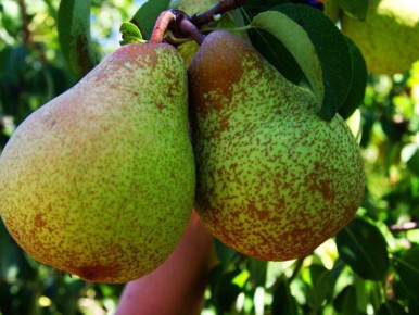 ��� ��������� �����, ������� ������ ����� ������� ����������