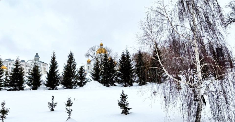 �� ���������� ���� � ������ ����������� ������ �� ����������������� � ����������� ���������� �����: