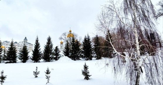 �� ���������� ���� � ������ ����������� ������ �� ����������������� � ����������� ���������� �����: