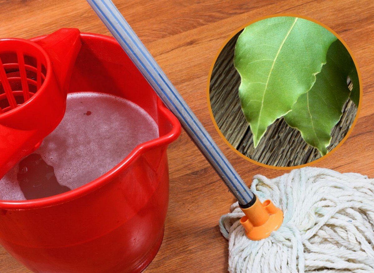 Почему лавровый лист стал секретом идеальных полов