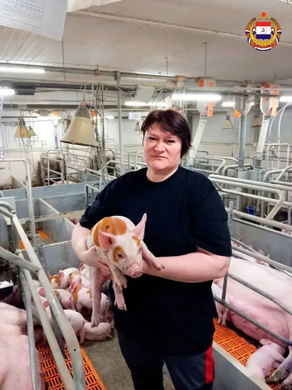 С любовью к ветеринарному делу