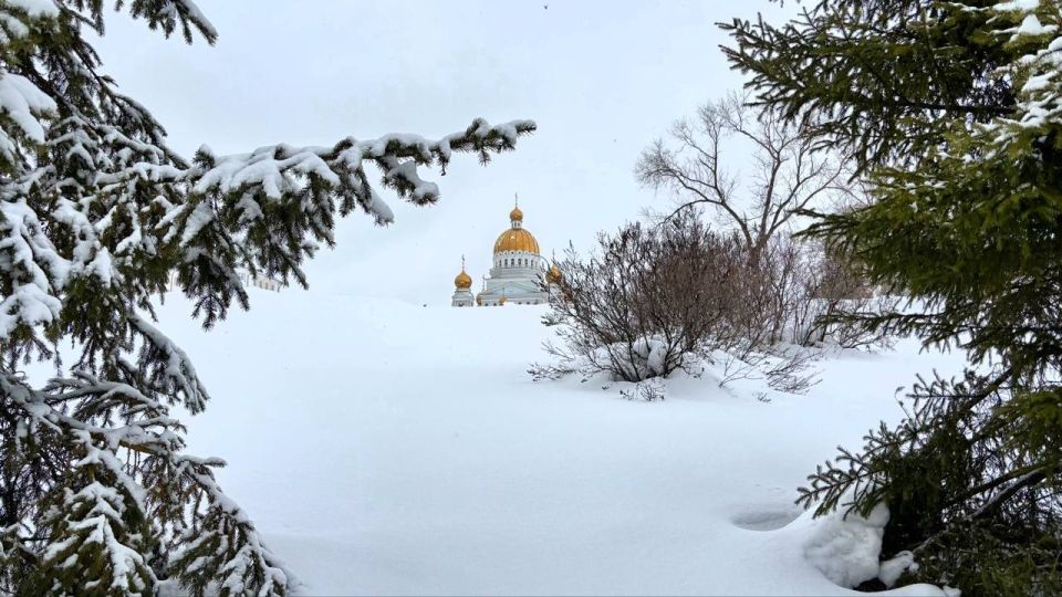 �� ���������� ���� � ������ ����������� ������ �� ����������������� � ����������� ���������� �����: