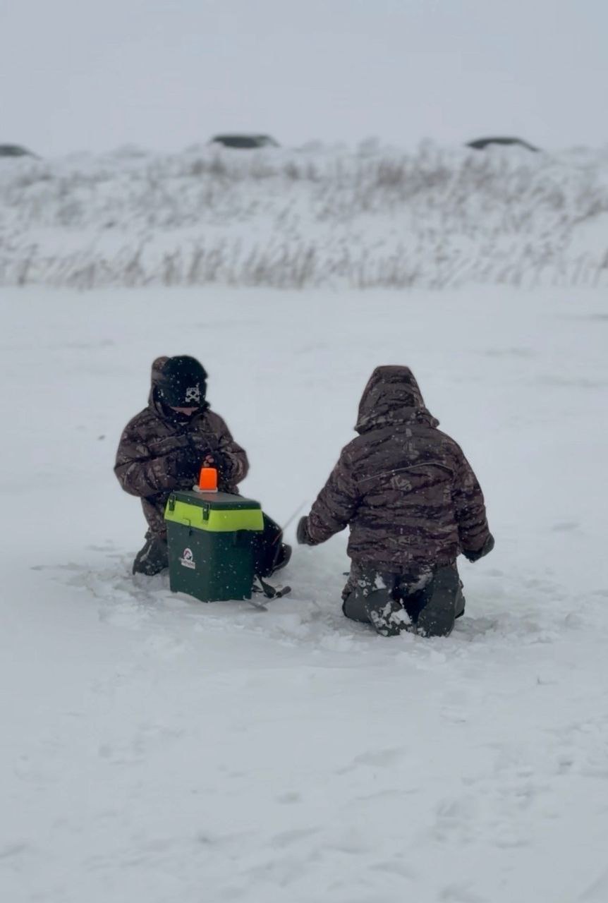 На пруду в Чамзинском районе прошел детский рыболовный фестиваль На пруду в Чамзинском районе прошел детский рыболовный фестиваль