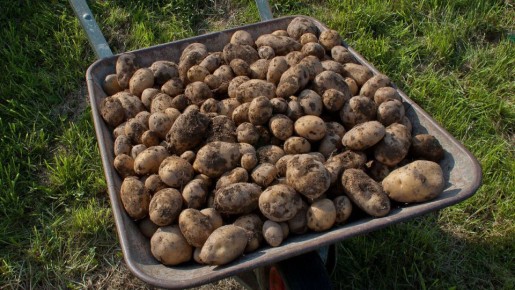 ��� ��������� ��������� ��������: ������� ��������� ������