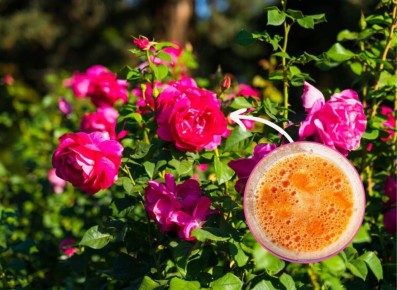 ��� �������� ��������� �������� ���: ��� ������� ����������� �� �����