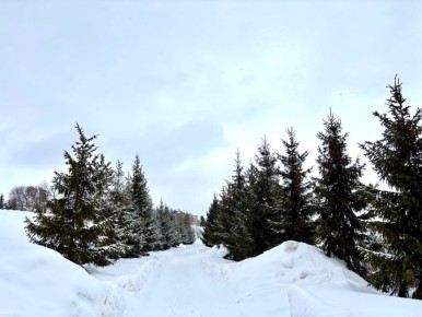 �� ���������� ���� � ������ ����������� ������ �� ����������������� � ����������� ���������� �����: