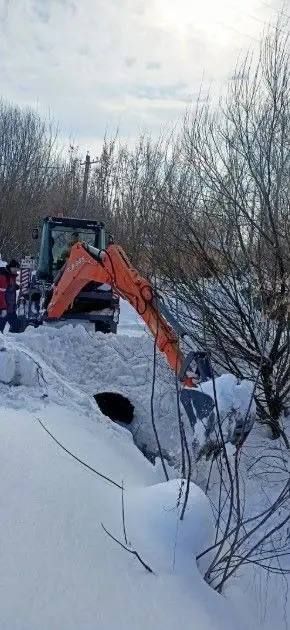 � �������� ������������ ����������������� �����������