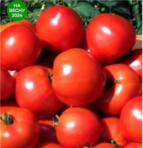 ��� ������� ������ �������: ������� ��������� ������