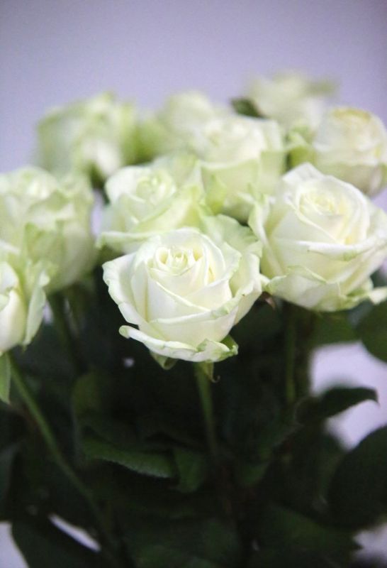 � ����������, ������� �������! �����, ����������� � �������