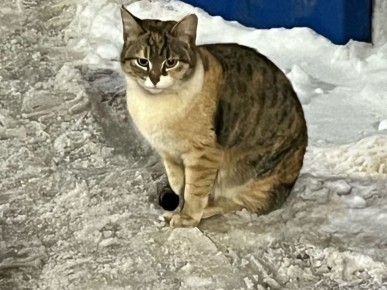 � ����������� ���� 8 ����� ��������� �������� �������� ������