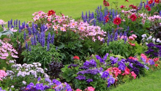 ��� �������� 90% �������: ������� ��������� ������ ������ � �������