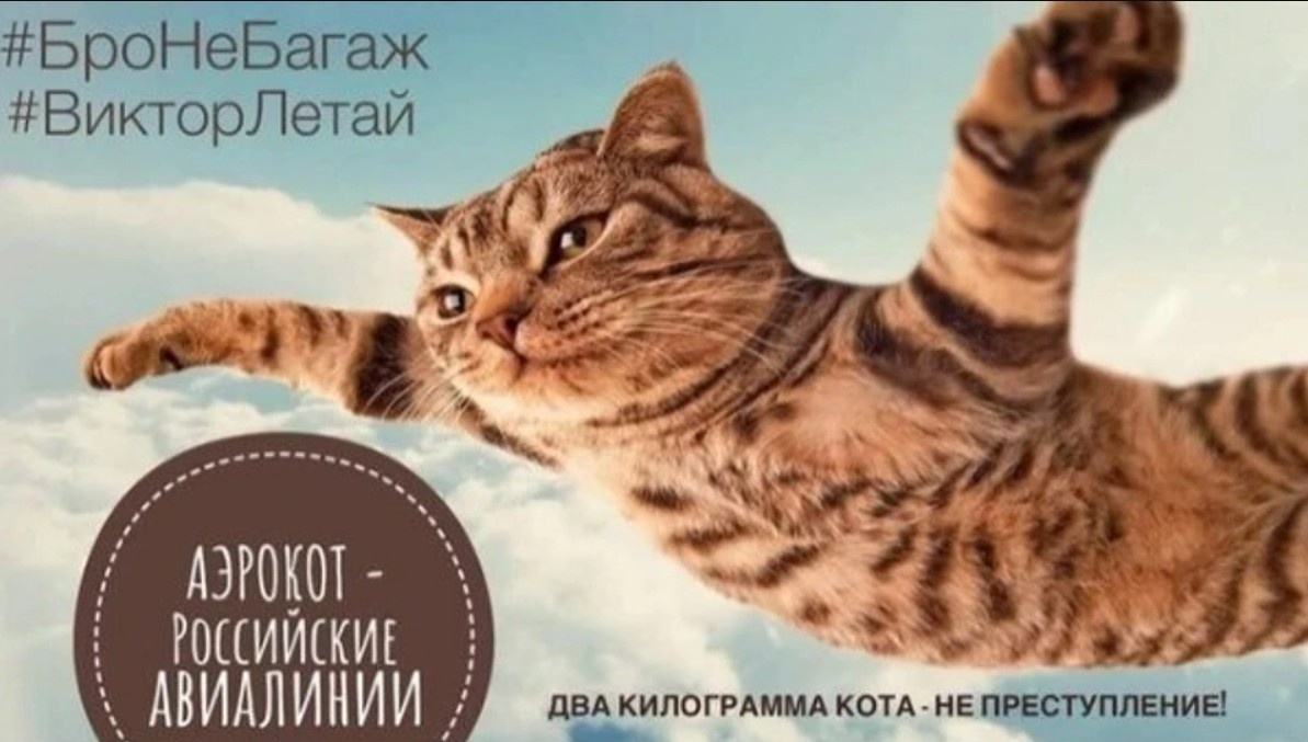 Как защитники прав животных трансформируют бизнес в России