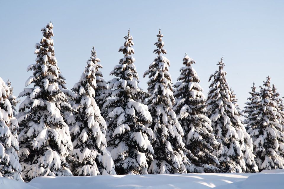 ������� � �������� ����� ��-������� �������