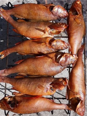 ����������� �� ������-����� �� �������� ���� � ������������ ������