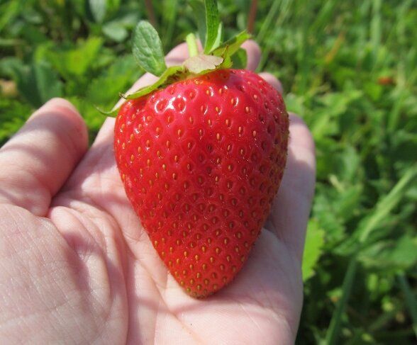 �������� ������ ������� � �������: ������� �����