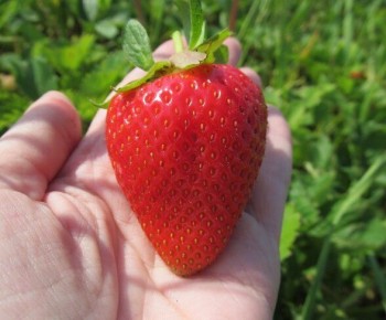 �������� ������ ������� � �������: ������� �����