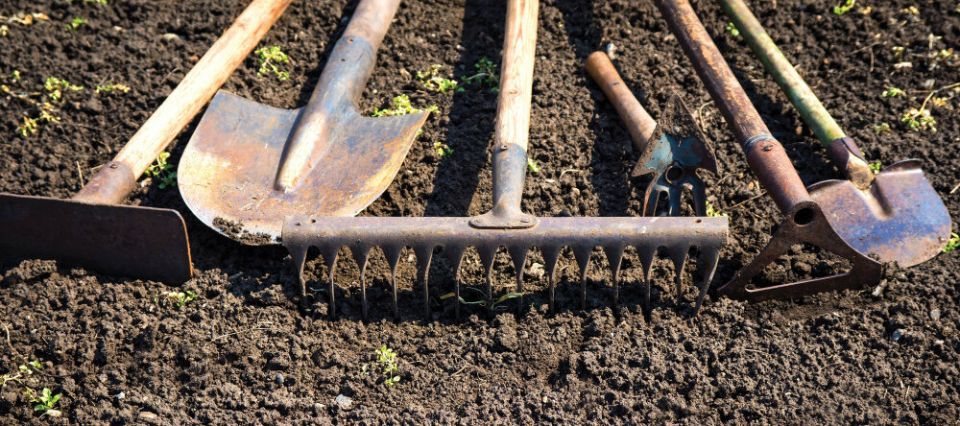 ������ ����� ���������� �� ��������� �������