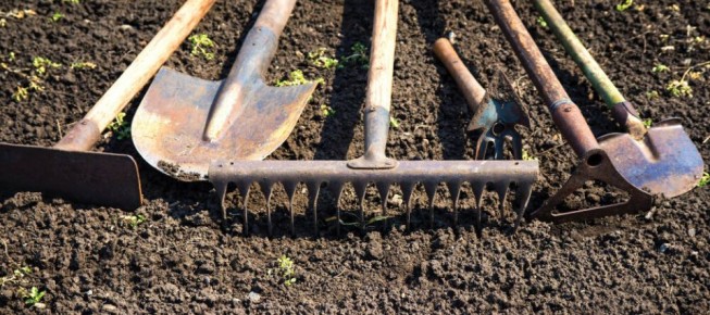 ������ ����� ���������� �� ��������� �������