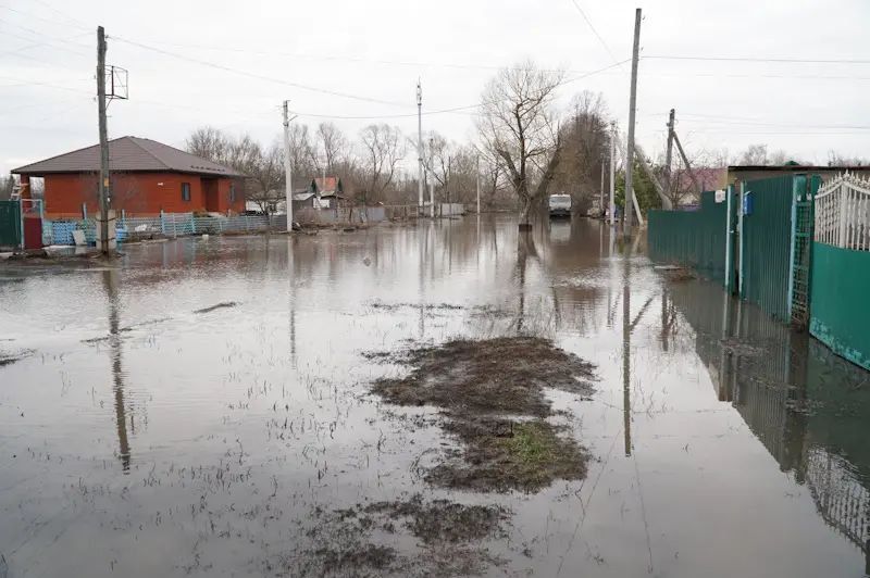 ��������� � ����������� ������ �� ����� ������� ������ �������� ������ ������ ����� ���������