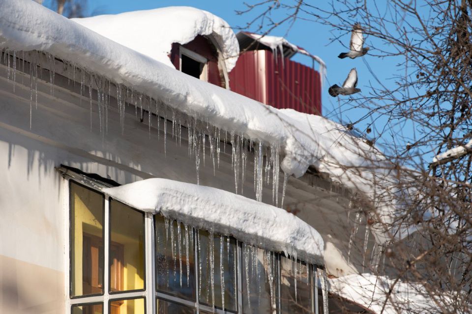 � ��������� ��� � �������� ������ ��������� �����