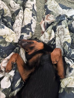 ������, �� ������ - ���� �������� � ���� �� ������