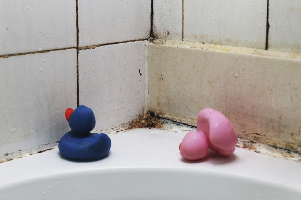 Грибок в ванной: Как он появляется и что с ним делать