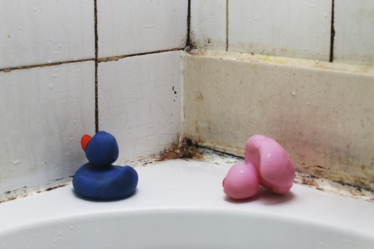 Грибок в ванной: Как он появляется и что с ним делать