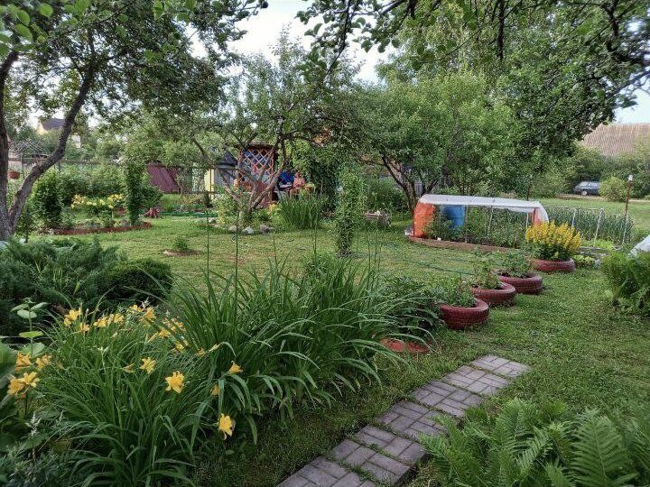 ��� ������������� ����� �� ������ �������: �������� ������