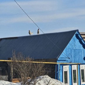 ����� �� �����, �� ������������� ������ ���������