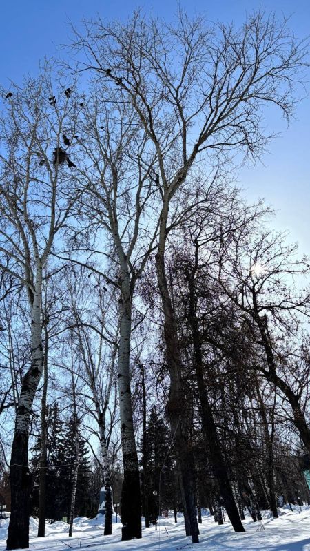 По информации ЕДДС и данным Мордовского центра по гидрометеорологии и мониторингу окружающей среды: