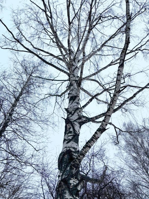 По информации ЕДДС и данным Мордовского центра по гидрометеорологии и мониторингу окружающей среды: