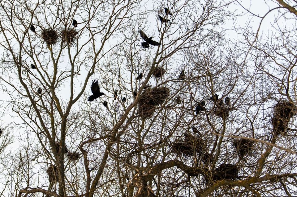 ����� ���������! ��� ������ � ��� �����: ��������� ������, �������� � �������