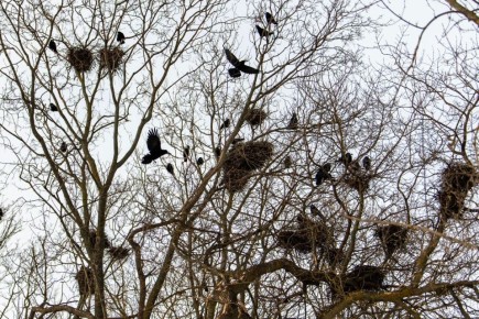 ����� ���������! ��� ������ � ��� �����: ��������� ������, �������� � �������