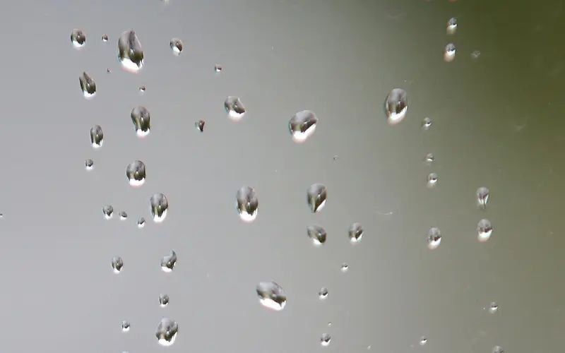 ������ �������� ����� ��������� � �������� � �������� ������� ������