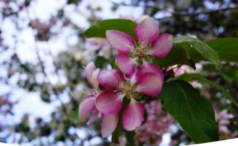 ������������ ������: ��� ������� �������� ������ � ����� ����